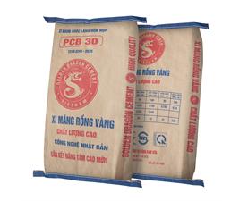 XI MĂNG RỒNG VÀNG PCB30